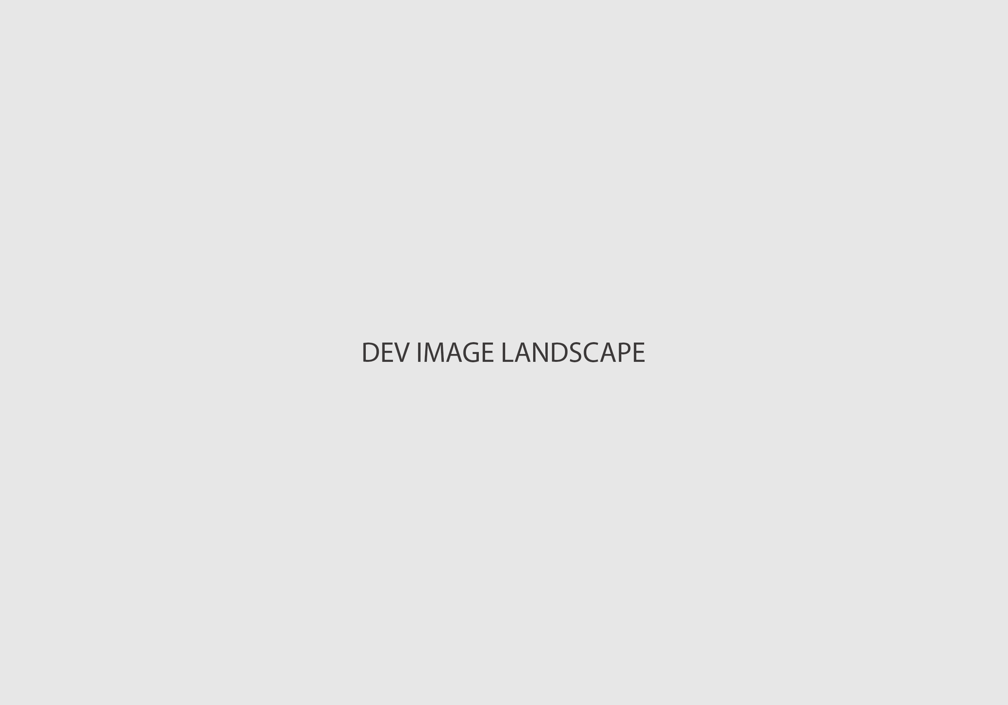 Dev Landscape